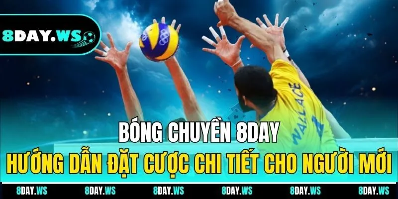 bóng chuyền 8DAY