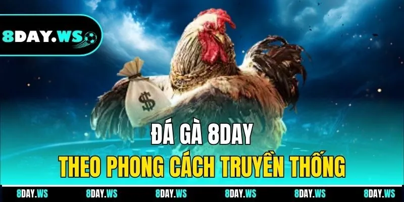 Đá gà 8DAY theo phong cách truyền thống