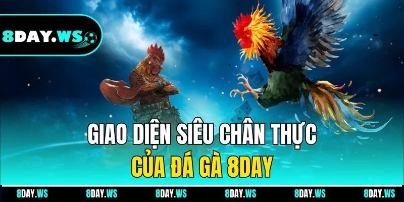 Giao diện siêu chân thực của đá gà 8DAY